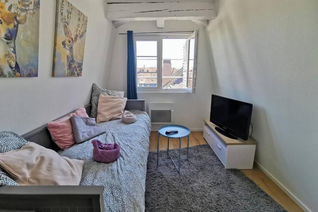 ** Appartement Cathedrale Strasbourg Centre** מראה חיצוני תמונה